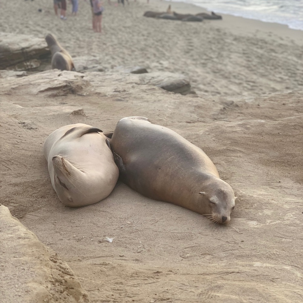 Meet your Posher, Maria